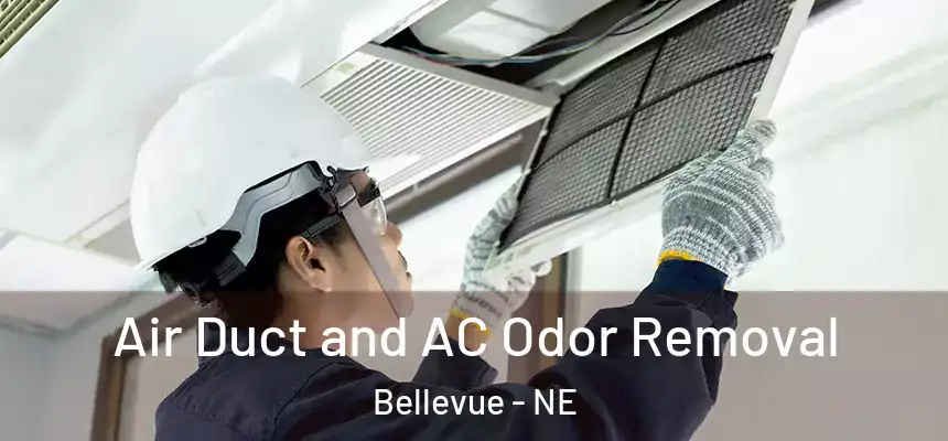 Air Duct and AC Odor Removal Bellevue - NE