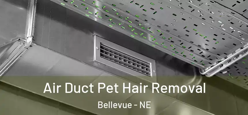 Air Duct Pet Hair Removal Bellevue - NE