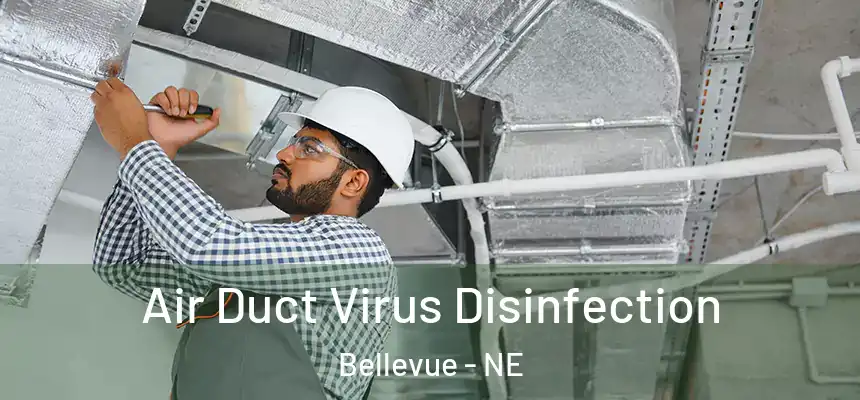 Air Duct Virus Disinfection Bellevue - NE
