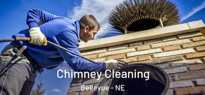  Chimney Cleaning Bellevue - NE