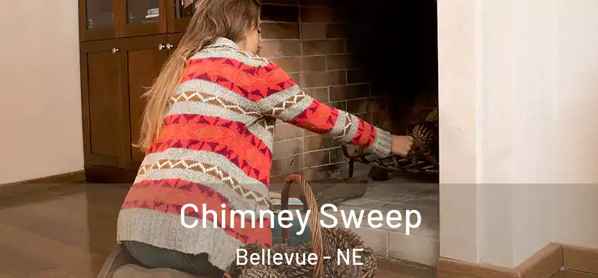  Chimney Sweep Bellevue - NE