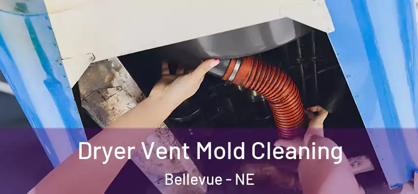 Dryer Vent Mold Cleaning Bellevue - NE