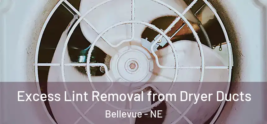 Excess Lint Removal from Dryer Ducts Bellevue - NE