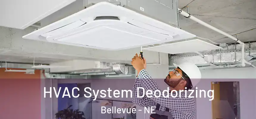 HVAC System Deodorizing Bellevue - NE