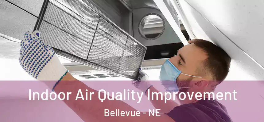 Indoor Air Quality Improvement Bellevue - NE