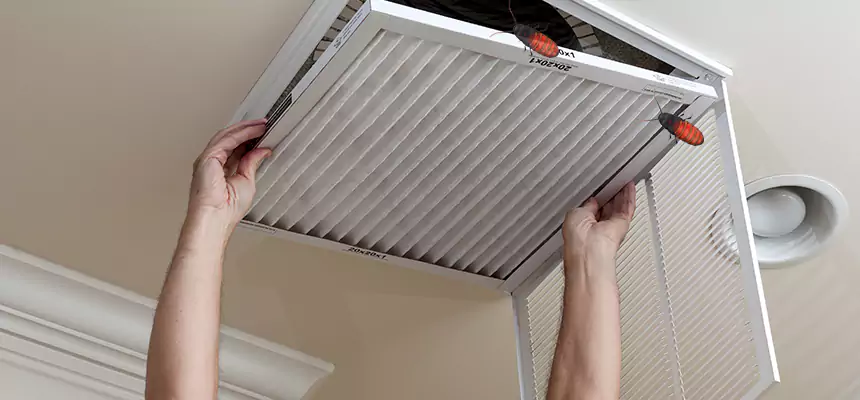Preventive Cockroach-Proofing for Ducts in Bellevue