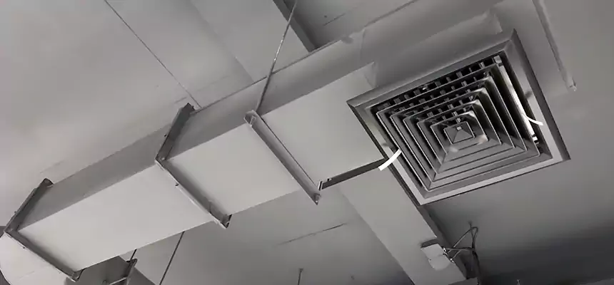 Our Pest Removal From Ducts Services in Bellevue, NE