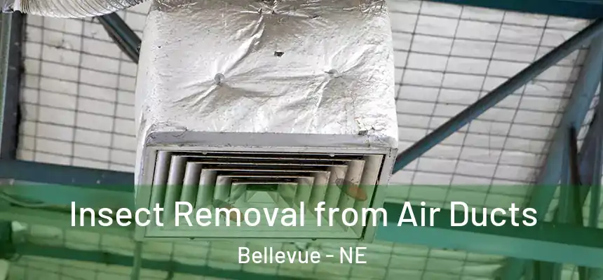 Insect Removal from Air Ducts Bellevue - NE