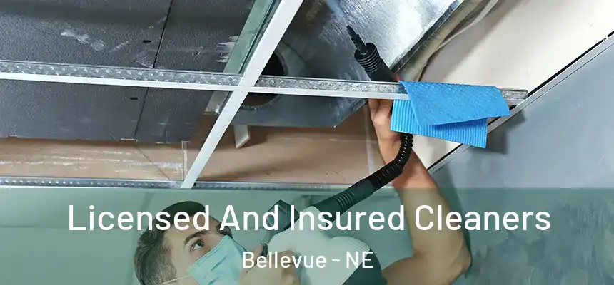 Licensed And Insured Cleaners Bellevue - NE