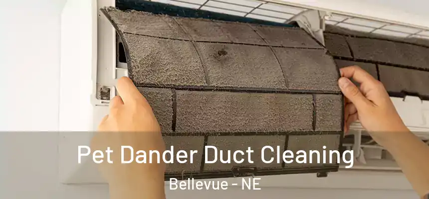  Pet Dander Duct Cleaning Bellevue - NE