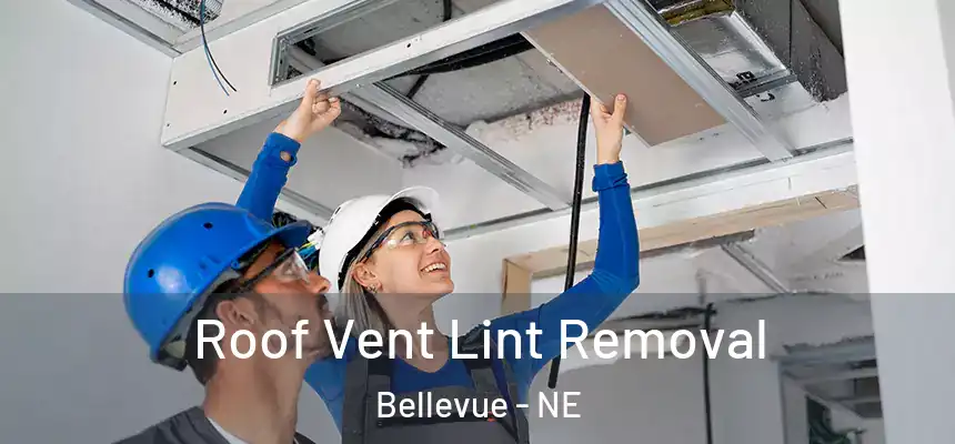 Roof Vent Lint Removal Bellevue - NE