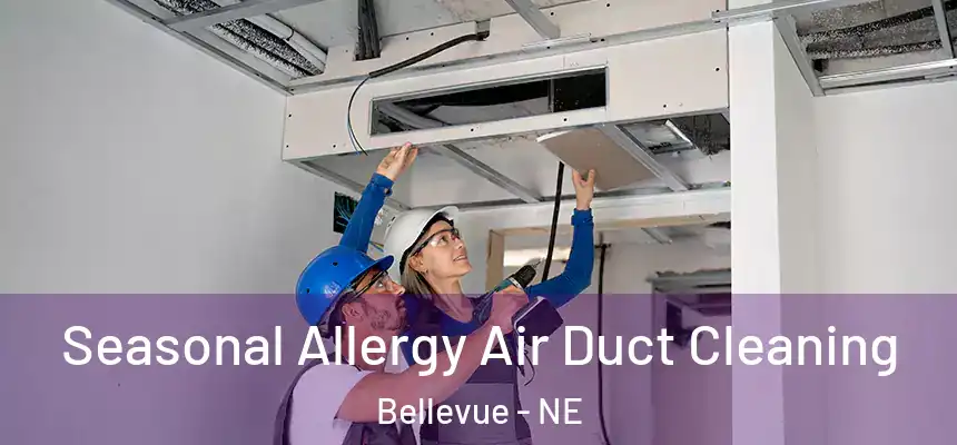 Seasonal Allergy Air Duct Cleaning Bellevue - NE
