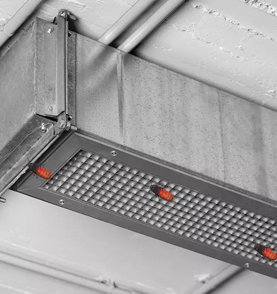 About Air Duct Cockroach Removal in Bellevue, NE