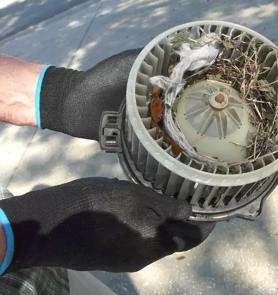 About Air Duct Rat Removal in Bellevue, NE