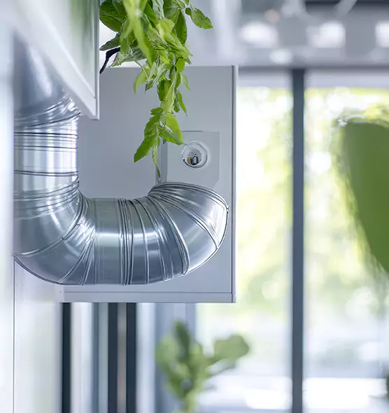 Professional Eco-Safe Dryer Vent Cleaning in Bellevue, NE