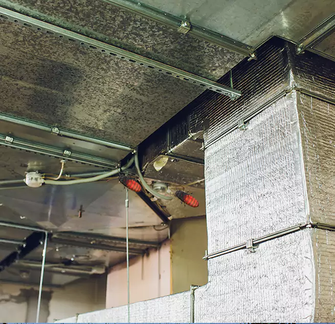 Why Homeowners & Businesses Trust Us in Bellevue, NE?