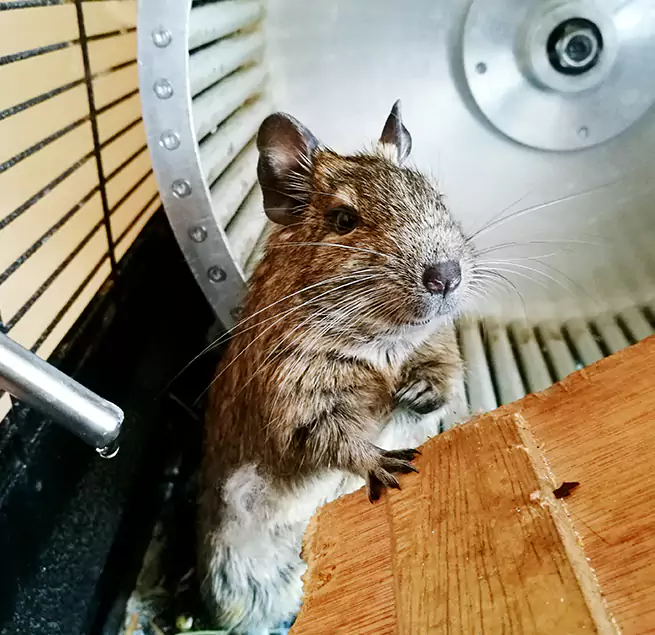 Why Homeowners & Businesses Trust Us Bellevue, NE