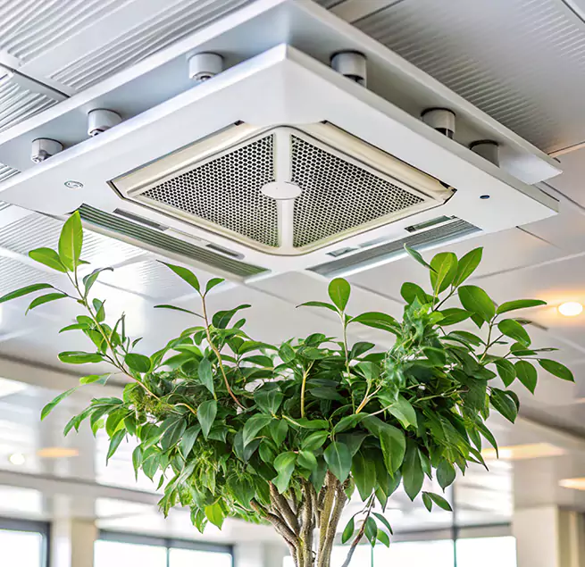 Why Homeowners & Businesses Trust Us in Bellevue, NE?